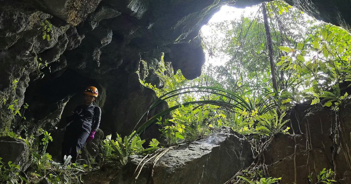 Hố sụt khổng lồ trong Vườn Quốc gia Phong Nha - Kẻ Bàng