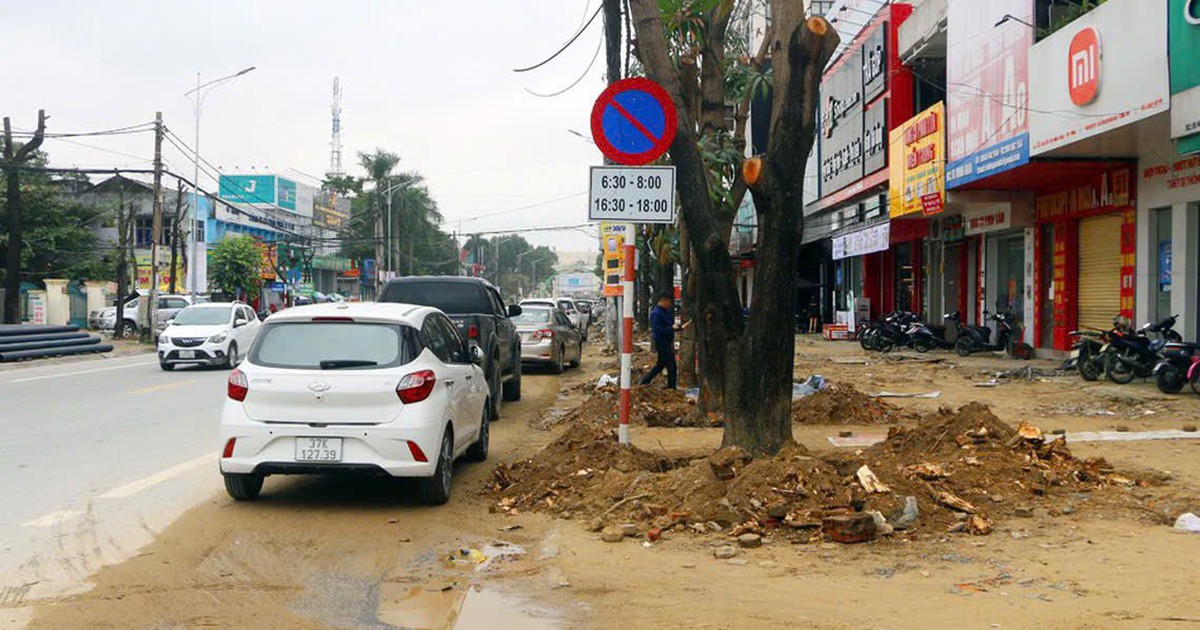 Truy tố ông chủ Công ty Cây xanh Công Minh hưởng lợi hơn 264 tỉ đồng