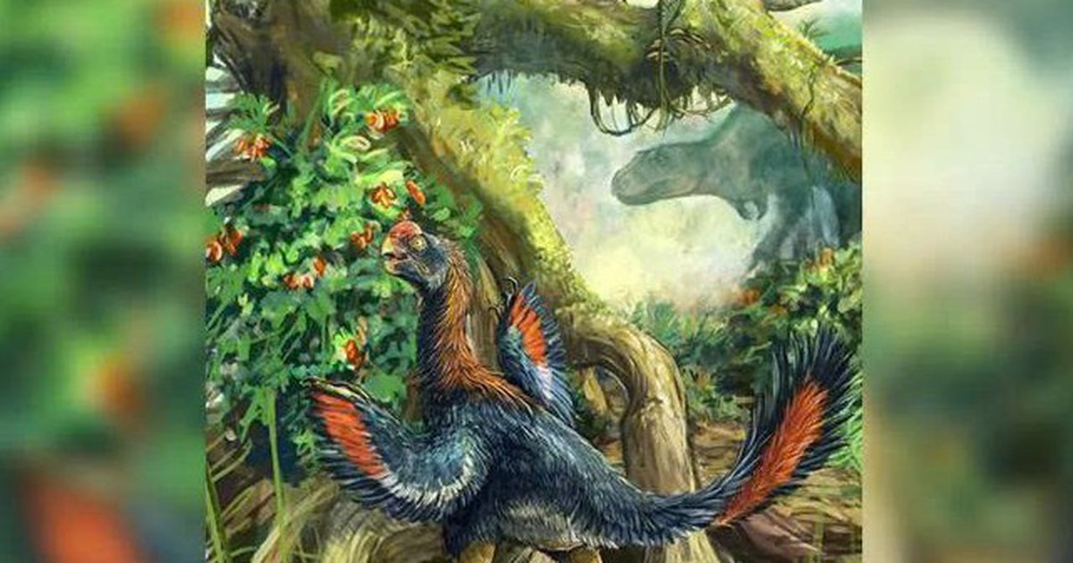 Phát hiện hóa thạch "Gà địa ngục" ăn trái cây đầu tiên