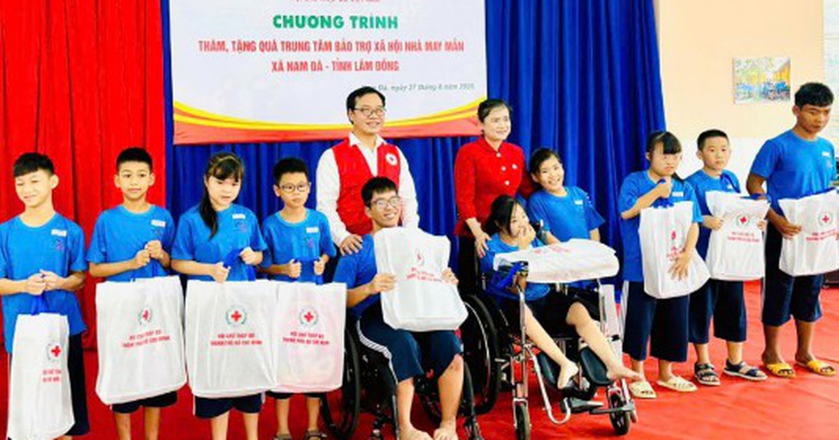Ai được sử dụng biểu tượng Chữ thập đỏ và trong phạm vi nào?