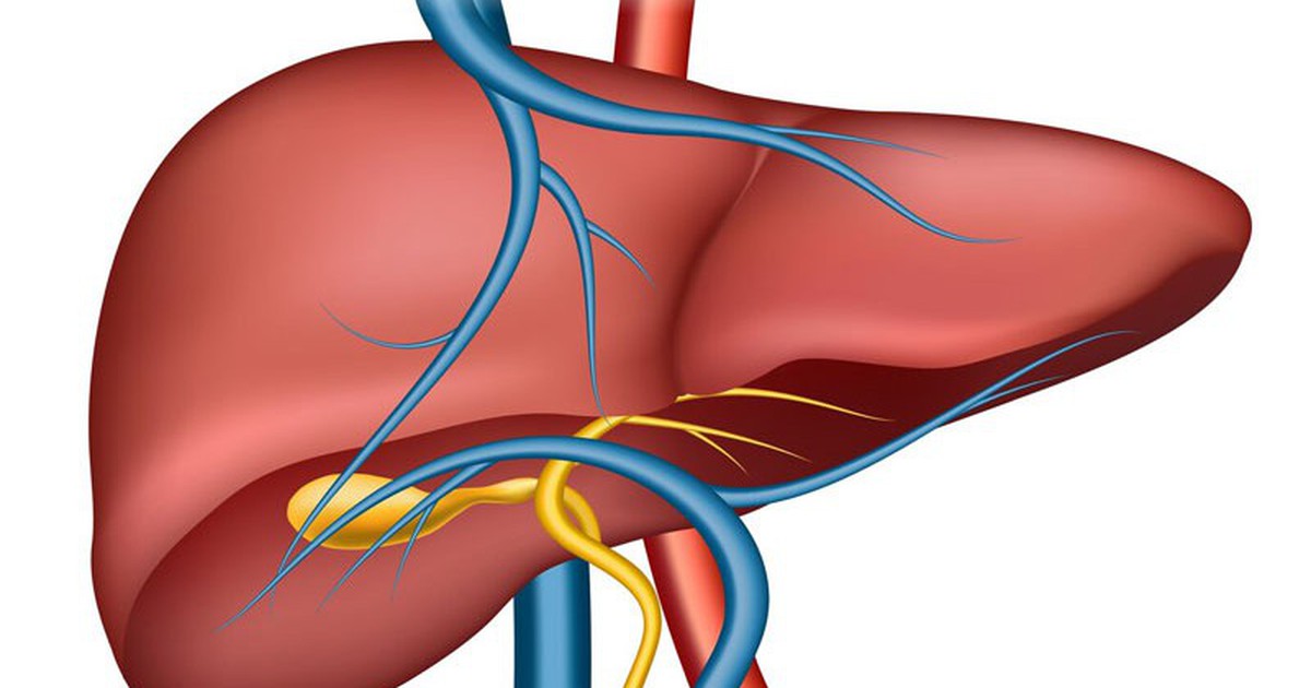Dấu hiệu cảnh báo gan đang tổn thương cần đi khám ngay
