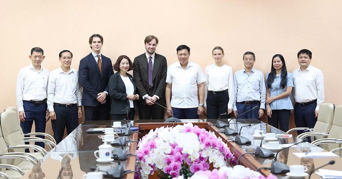 Bộ Y tế l&agrave;m việc với Tập đo&agrave;n VAMED+WWH về m&ocirc; h&igrave;nh y tế cơ động