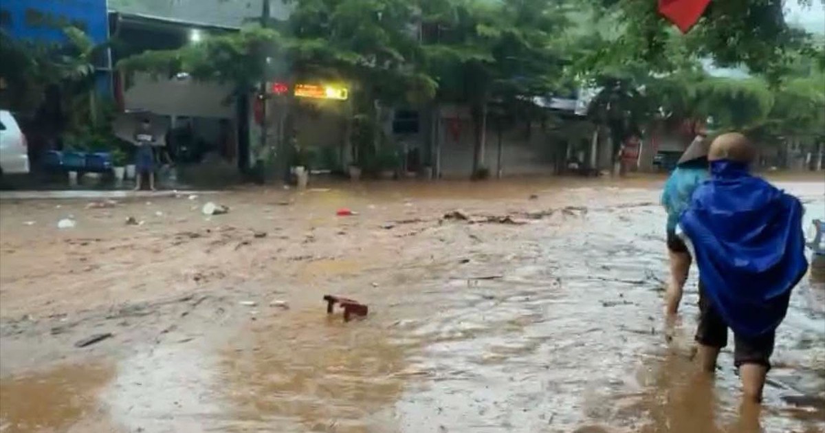 Bài viết