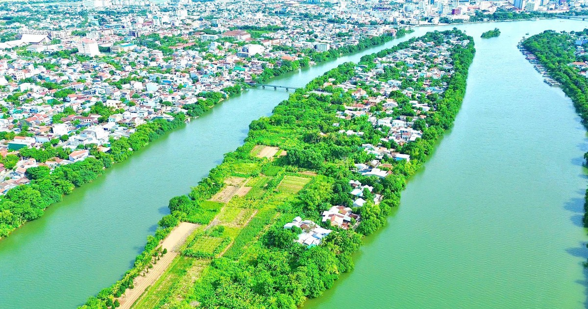 Bài viết