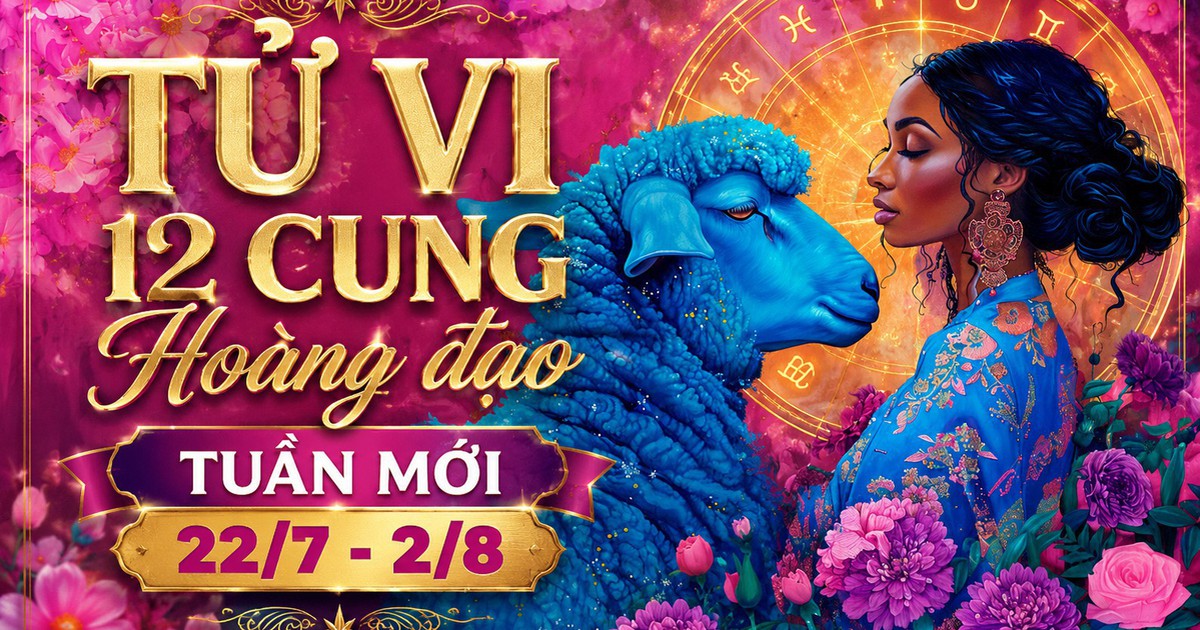 Bài viết