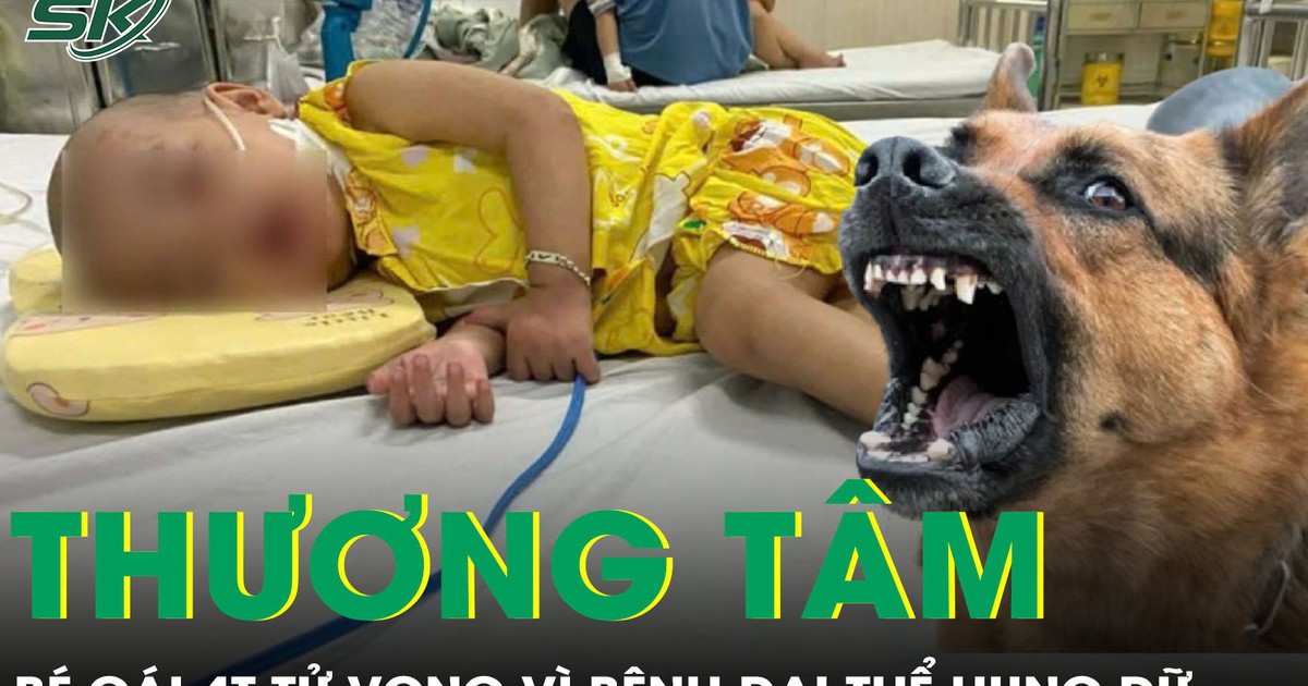 Bé gái 4 tuổi ra đi thương tâm vì bệnh dại thể hung dữ