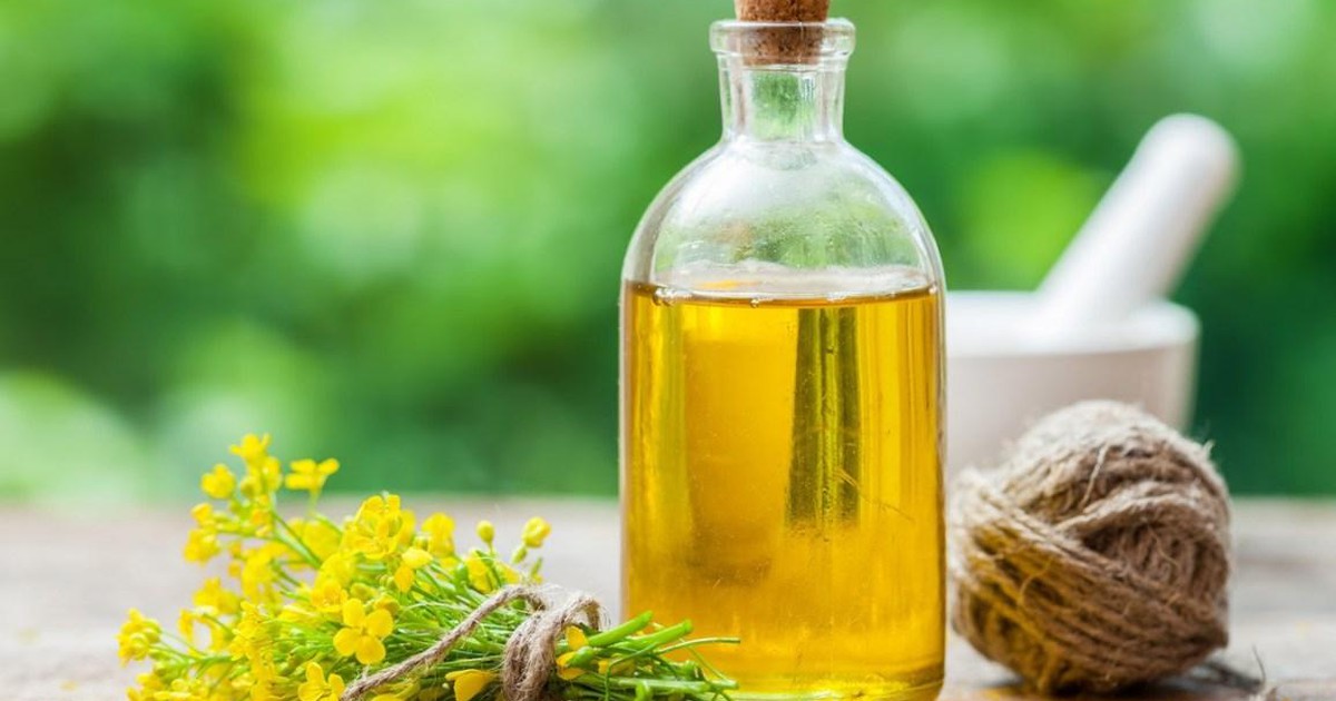Dùng dầu hạt cải Canola Harvest - xu hướng mới của người Việt