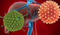 WHO: Nguyên nhân gây bệnh viêm gan bí ẩn có thể công bố trong tuần này