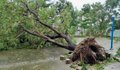 Đà Nẵng thiệt hại ra sao sau khi cơn bão Noru đổ bộ?