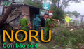 LIVE: Bão Noru suy yếu còn cấp 8, vẫn gây mưa to, nguy cơ sạt lở