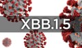 Làm thế nào để biết bạn nhiễm biến thể XBB, XBB.1.5 hay BA.5?