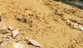 Video: Giữa trời nắng to lũ ống xuất hiện kéo theo hàng nghìn tấn đất đá ở Nghệ An 

