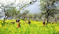 Phát triển du lịch 4 mùa ở Nghệ An