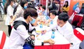 Lĩnh vực nào sinh viên ra trường có tỷ lệ việc làm cao nhất?