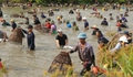 Hàng nghìn người tay nơm, tay vó lao xuống đầm bắt cá cầu may ở Hà Tĩnh