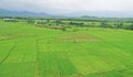 Hồi sinh những vùng đất khô khát ở Ninh Thuận