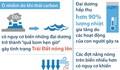 [Infographics] Nguy cơ đại dương trở thành “quả bom hẹn giờ”