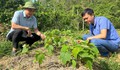 Tạo sinh kế, quyết tâm đưa Mường Lát thoát nghèo