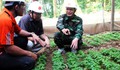 Phát triển cây dược liệu bằng cách áp dụng khoa học - kỹ thuật