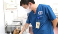 Suy gan cấp, phải nhập viện điều trị do dùng thuốc nam truyền miệng