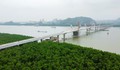 Cầu Bến Rừng nối Hải Phòng - Quảng Ninh không kịp thông xe theo dự kiến