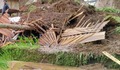 Indonesia: Lở đất khiến ít nhất 12 người thiệt mạng