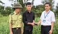 Người dân Huế liên tiếp giao nộp rùa quý hiếm