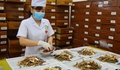 Phát huy y học cổ truyền để nâng tầm công nghiệp dược Việt Nam
