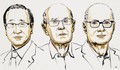 Nobel Hóa học 2025 vinh danh ba nhà khoa học nghiên cứu về vật liệu xốp