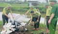 Nghệ An đồng loạt truy quét, chặn đứng nạn tận diệt chim hoang dã