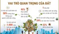 Ngày Đất Thế giới 5/12: Vai trò quan trọng của đất