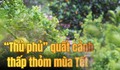 'Thủ phủ' quất cảnh miền Trung thấp thỏm mùa Tết vì dịch bệnh, thời tiết