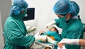 Vì sao bố mẹ khỏe mạnh sinh con mắc bệnh di truyền?