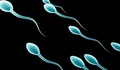 Bê bối người hiến tinh trùng mang gene gây ung thư làm cha của 52 trẻ em tại Bỉ