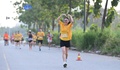 Hơn 6.000 người tham gia Giải đi bộ - chạy bộ 'Tự hào Thành phố tôi yêu' kỷ niệm 100 năm báo chí