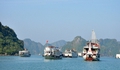 Tin mới về bão WIPHA: Quảng Ninh tạm dừng cấp phép rời cảng đối với tàu khách