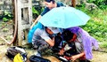 Người dân sẽ được roaming đảm bảo liên lạc thông suốt khi có bão số 3