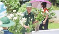 Ngã ba Đồng Lộc những ngày tháng 7