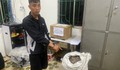 Bắt giữ đối tượng vận chuyển vảy tê tê cùng ma túy
