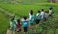 Từ sự cố ở Làng Háo Hức, cha mẹ cần lưu ý gì khi chọn trại hè cho con?