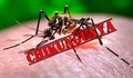 Dịch bệnh Chikungunya tăng tại nhiều nước, Bộ Y tế khuyến cáo khẩn các biện pháp phòng, chống