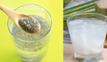 Ngâm hạt chia với nước dừa – Tác dụng và lý do nên uống mỗi sáng