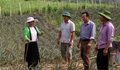 Điện Biên linh hoạt trong thực hiện chính sách để giảm nghèo bền vững, hạn chế tái nghèo