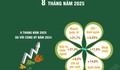 8 tháng năm 2025: Kinh tế có nhiều tín hiệu tích cực