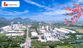 Xi măng Long Sơn – Chúc mừng năm mới chào xuân Bính Ngọ 2026