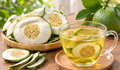 Tác dụng của quả bưởi non với người mắc gan nhiễm mỡ