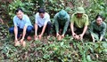 Vượt đèo dốc đưa 16 cá thể động vật nguy cấp, quý hiếm thả về rừng