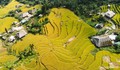 Mùa vàng Xà Phìn hút khách giữa núi rừng Tây Côn Lĩnh