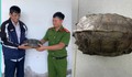 Người đàn ông làm điều đáng khen khi thấy rùa đất lớn băng qua đường