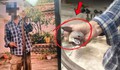 Người đàn ông 28 tuổi tử vong trong lúc chụp ảnh với rắn hổ mang
